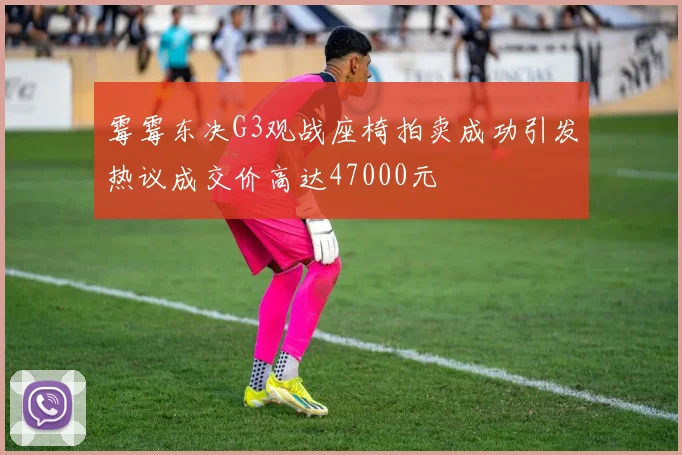 霉霉东决G3观战座椅拍卖成功引发热议成交价高达47000元